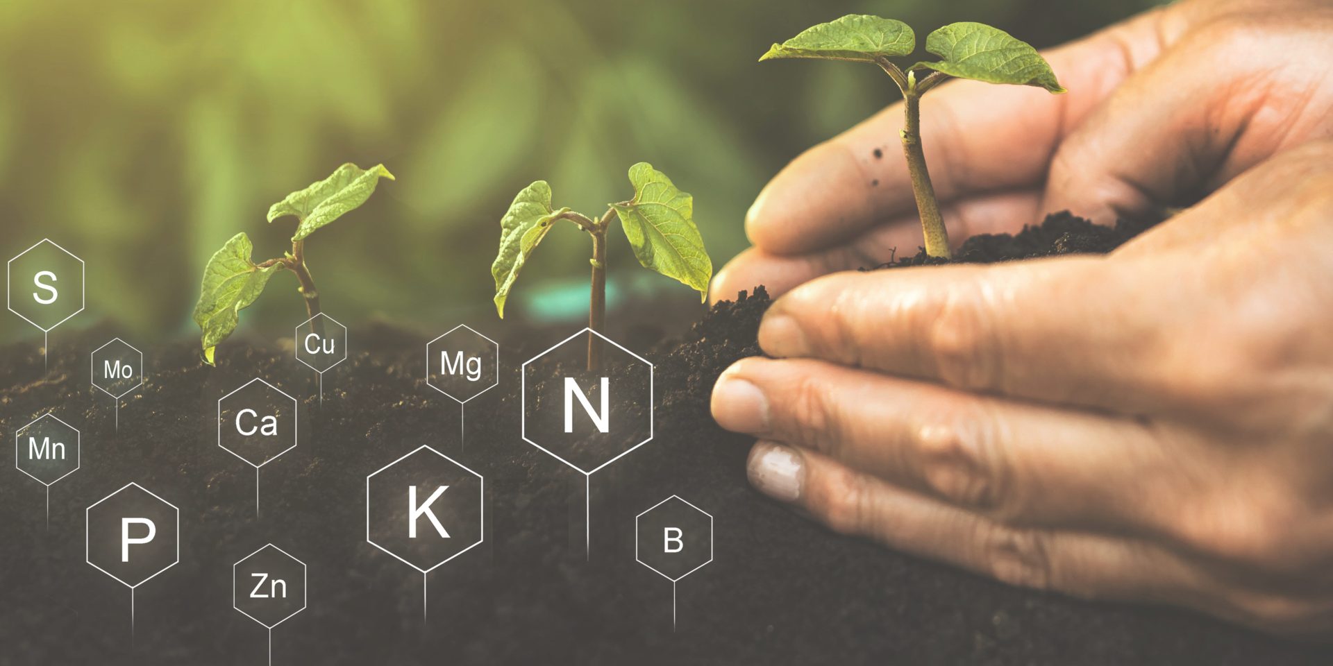 Cómo Detectar el Deterioro del Microbioma Antes de Perder Productividad